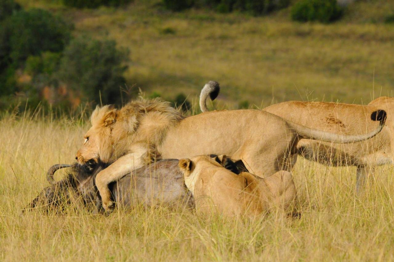 Botlierskop Private Game Reserve Reebok Екстериор снимка