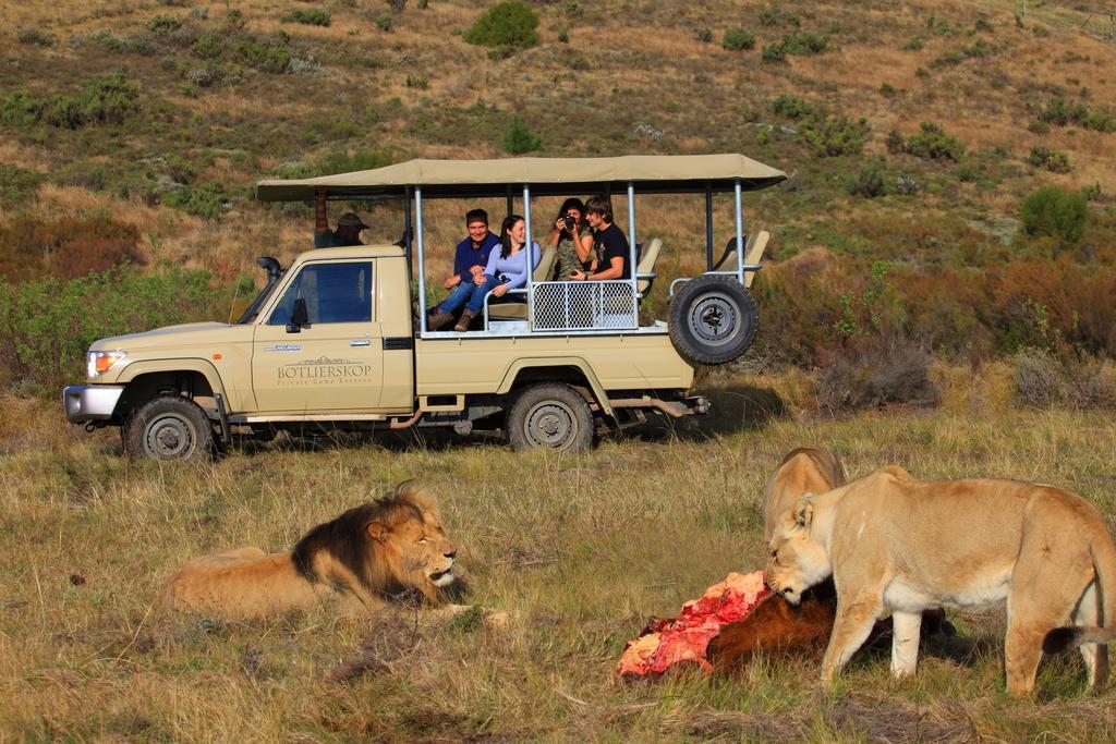 Botlierskop Private Game Reserve Reebok Екстериор снимка