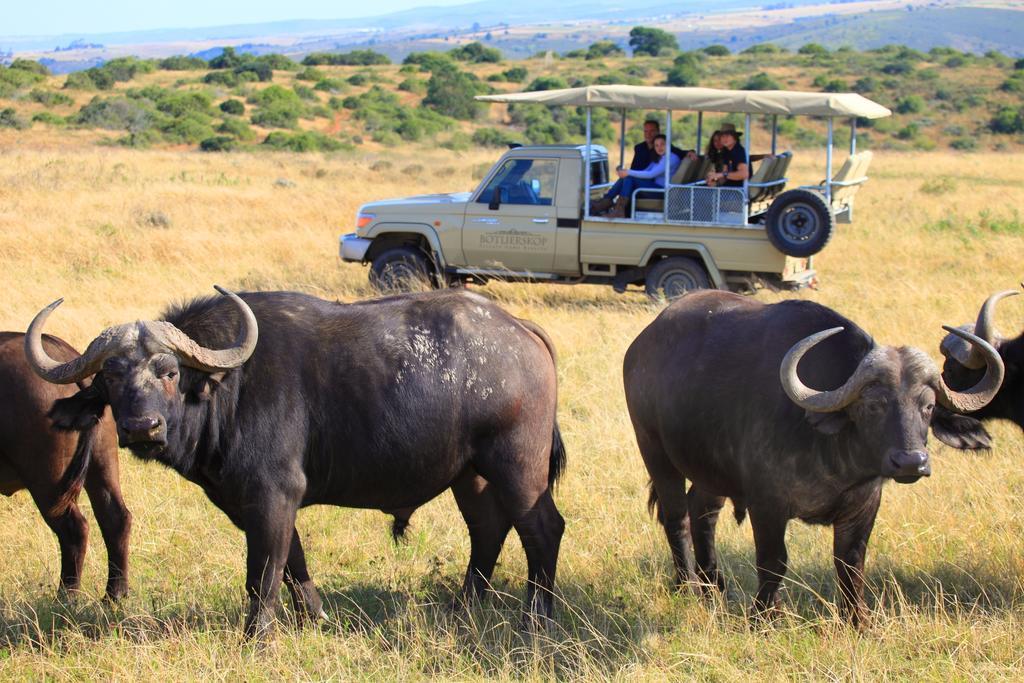 Botlierskop Private Game Reserve Reebok Екстериор снимка